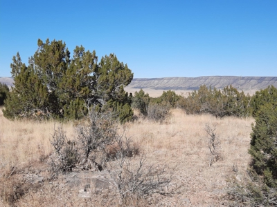 Gorgeous Views - image 1