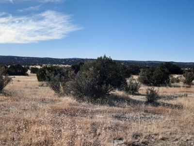Gorgeous Views - image 8