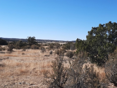 Gorgeous Views - image 7