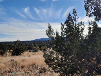 Gorgeous Views - image 4