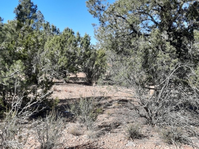 Very Secluded - image 6