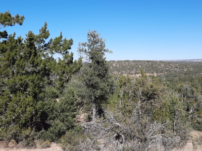 Very Secluded - image 10