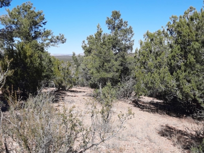Very Secluded - image 7