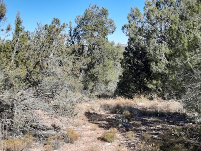 Very Secluded - image 14
