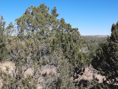 Very Secluded - image 13