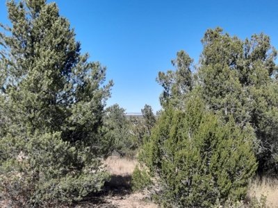 Very Secluded - image 12