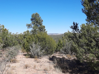 Very Secluded - image 1