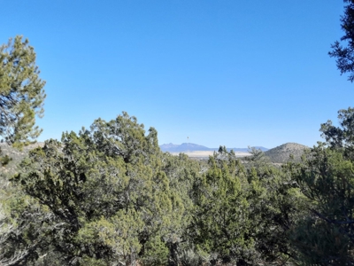 Very Secluded - image 8