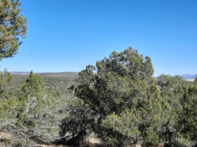 Very Secluded - image 9