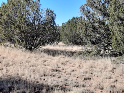 Beautiful Property - image 2