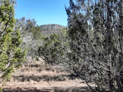 Beautiful Property - image 1