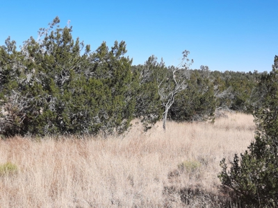 Beautiful Property - image 6