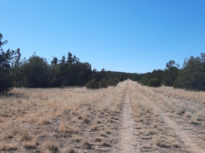 Very Secluded - image 7
