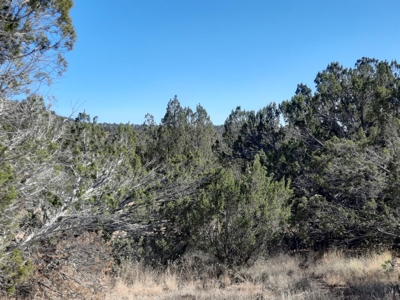 Very Secluded - image 3