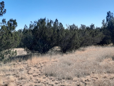 Very Secluded - image 6