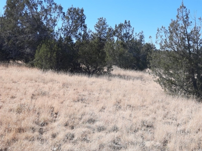 Very Secluded - image 4