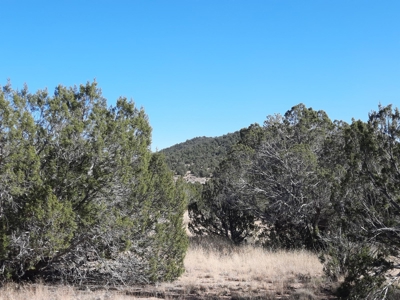 Very Secluded - image 1