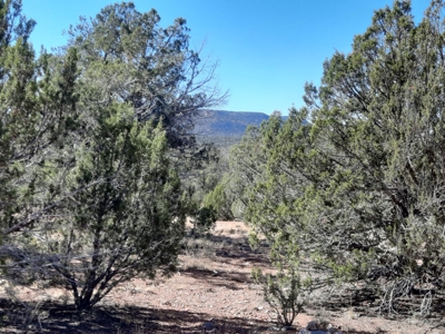 Beautiful Property - image 10
