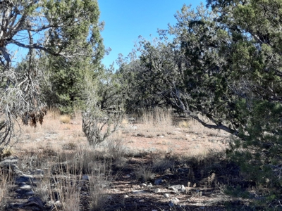 Beautiful Property - image 12