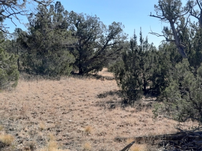 Beautiful Property - image 2