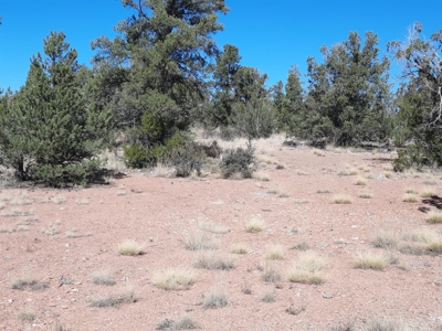 Beautiful Property - image 11