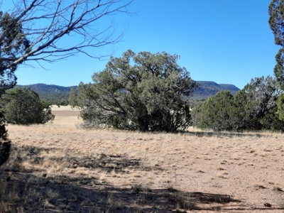 Beautiful Property - image 1