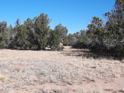 Beautiful Property - image 10