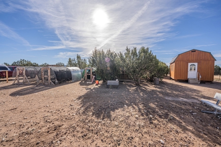 Homesteaders Dream - image 3