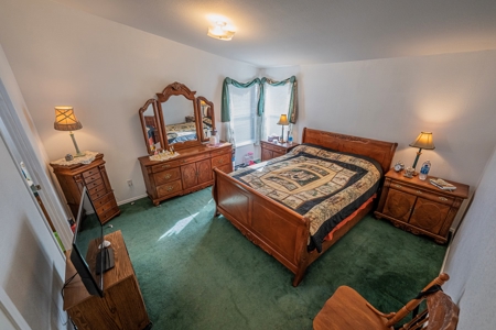 Homesteaders Dream - image 18