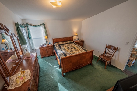 Homesteaders Dream - image 19