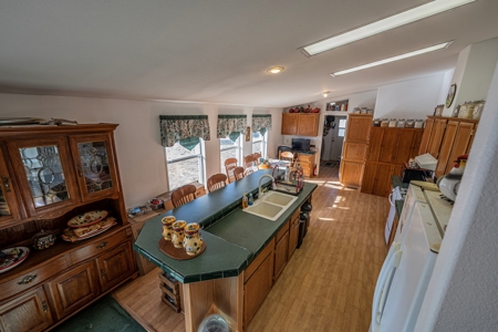 Homesteaders Dream - image 32
