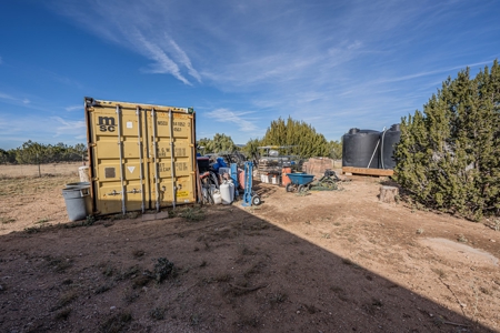 Homesteaders Dream - image 6