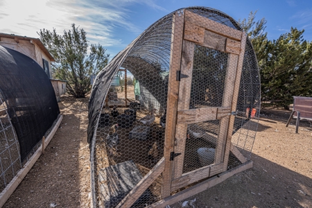 Homesteaders Dream - image 14