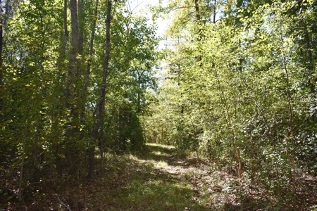 Land For Sale in Camden, SC - image 14