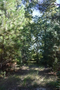 Land For Sale in Camden, SC - image 10