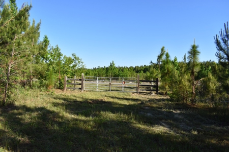 Land For Sale in Camden, SC - image 18