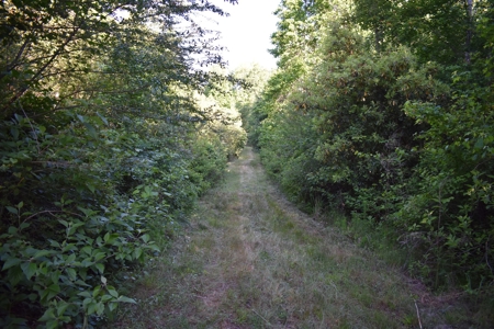 Land For Sale in Camden, SC - image 17