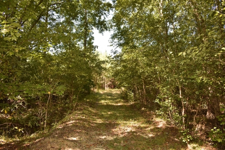 Land For Sale in Camden, SC - image 13