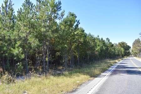 Land For Sale in Camden, SC - image 3