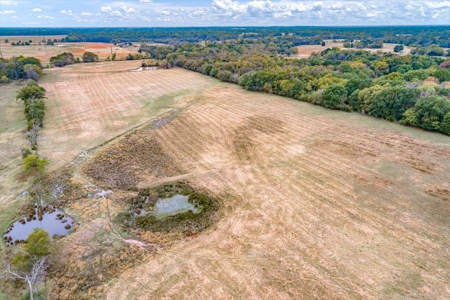 Land for Sale in Canton, Texas - image 7