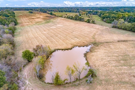 Land for Sale in Canton, Texas - image 10