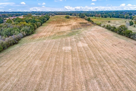 Land for Sale in Canton, Texas - image 11
