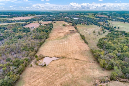 Land for Sale in Canton, Texas - image 4