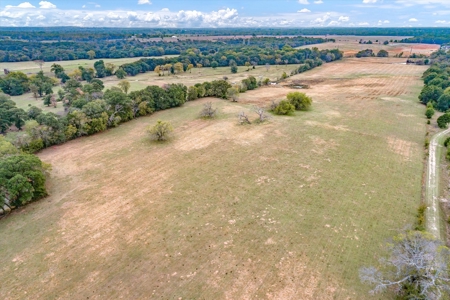 Land for Sale in Canton, Texas - image 3