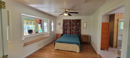 Serene 2 Bedroom 2 Bath Gem on 2 acres on Big Island Hawaii - image 34