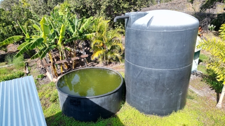 Serene 2 Bedroom 2 Bath Gem on 2 acres on Big Island Hawaii - image 25
