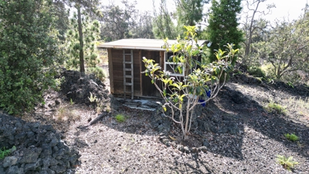 Serene 2 Bedroom 2 Bath Gem on 2 acres on Big Island Hawaii - image 23