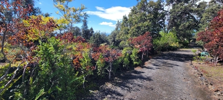 Serene 2 Bedroom 2 Bath Gem on 2 acres on Big Island Hawaii - image 2
