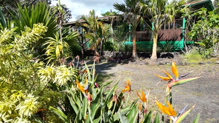 Serene 2 Bedroom 2 Bath Gem on 2 acres on Big Island Hawaii - image 27