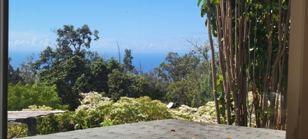 Serene 2 Bedroom 2 Bath Gem on 2 acres on Big Island Hawaii - image 17